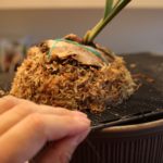 ビカクシダのフラハンズを板付け＆成長記録#1