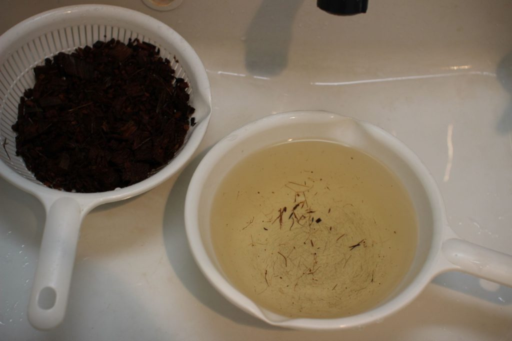 ココヤシチップ