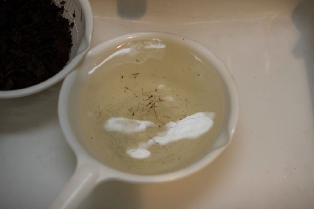 ココヤシ　ビカクシダ