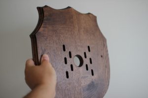 素敵なビカクシダの着生材を頂戴いたしました