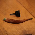 ビカクシダの胞子を採取してみました　