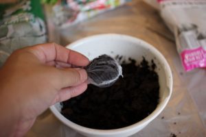 ビカクシダの成長シーズンが来たので肥料の準備をしました