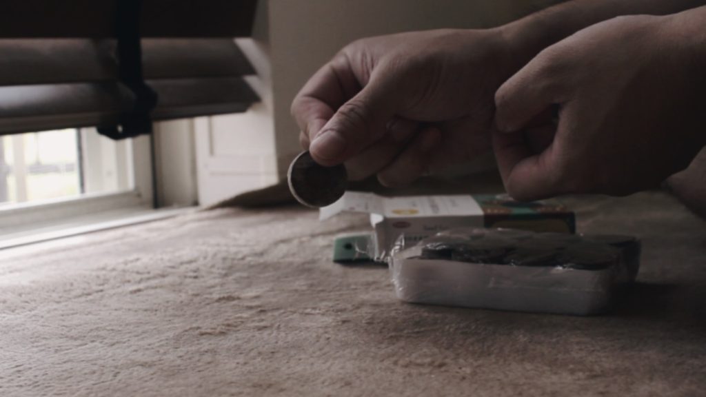 胞子培養 ビカクシダ 胞子撒き