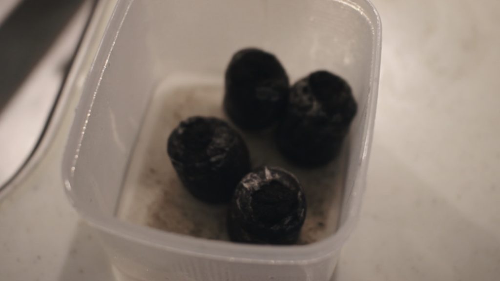 培地 ビカクシダ