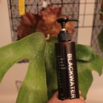 ビカクシダの活力剤BLACK WATER ＆ 肥料THE COMPOST