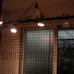 我が家のビカクシダの壁・ビカクウォ―ルについて