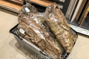 東急ハンズでコルク樹皮買えました［ビカクシダ］
