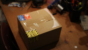 ビカクシダの森でビカクシダを買う！