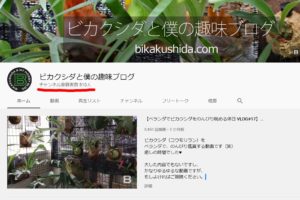 YouTubeチャンネル登録者数500人越えました！