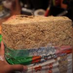 水苔の戻し方［僕の場合］