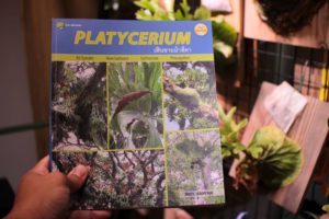 僕の好きなビカクシダの本［PLATYCERIUM］