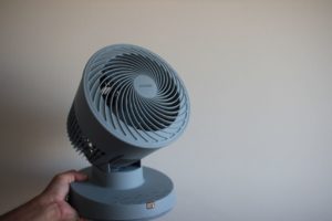 ビカクシダには風を！サーキュレータ購入！