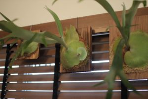 koharubiyoriな話#7