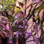 ブログ更新できて、うれしい！