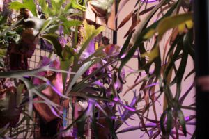 ブログ更新できて、うれしい！