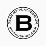 あけましておめでとうございます