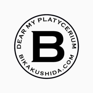 あけましておめでとうございます