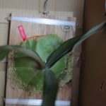 ありがとうございました♪