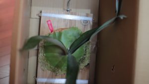 ありがとうございました♪