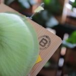 四級ビカク師のkoharubiyoriです