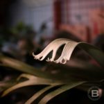 ご無沙汰しております