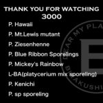 ビカクシダを１円スタートで出品