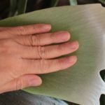 確認するのが日課