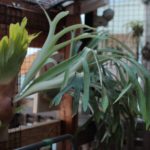 まぁ良しとする。