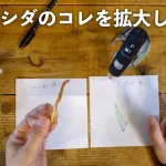 【Youtube】ビカクシダの気になる部分を拡大してみた