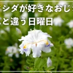 【Youtube】いつもと違う日曜日。