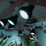 現在メインで使ってる植物育成ライト【動画あり】