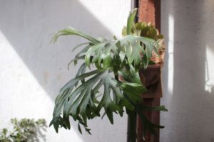 文字にしたら何かみえるか？