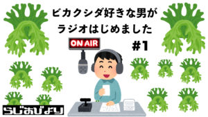 ラジオはじめました