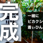 月末でTシャツ販売終了します