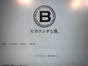 ビカクシダの販売を予定しとります。