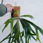 僕の"LB‐A"シリーズ