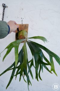 僕の"LB‐A"シリーズ